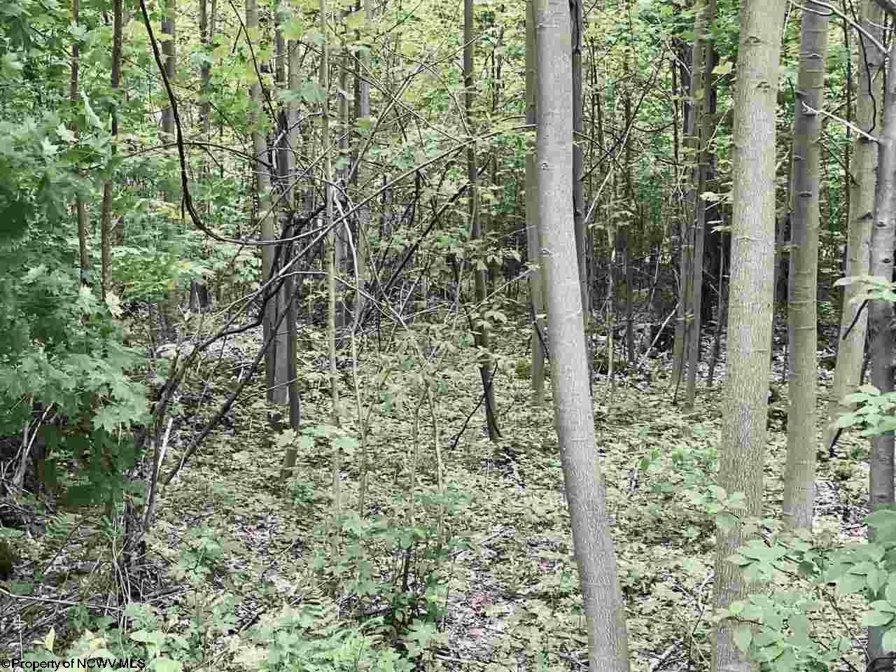 Lot 5 Dennis Road - Photo 1