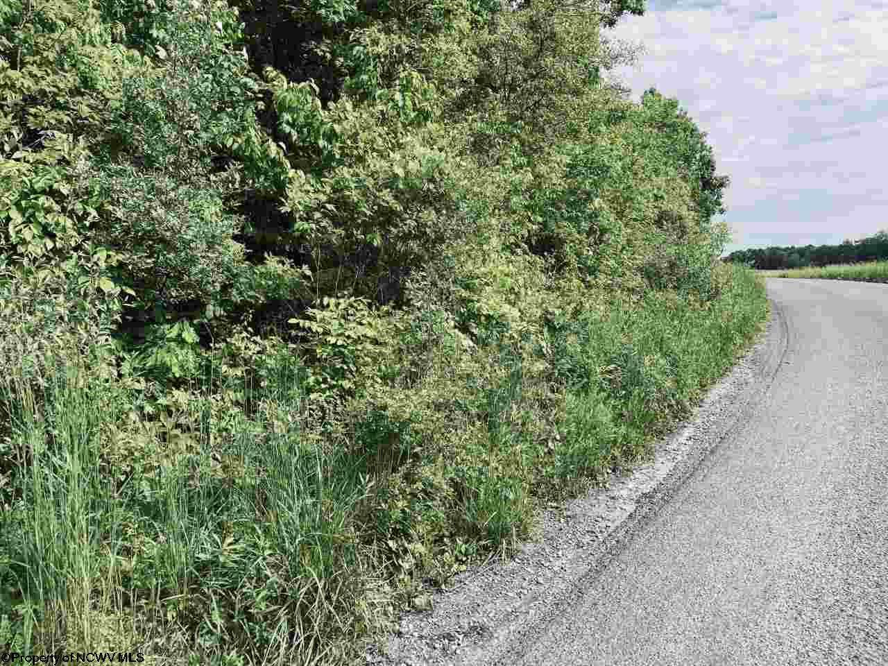 Lot 4 Dennis Road - Photo 1