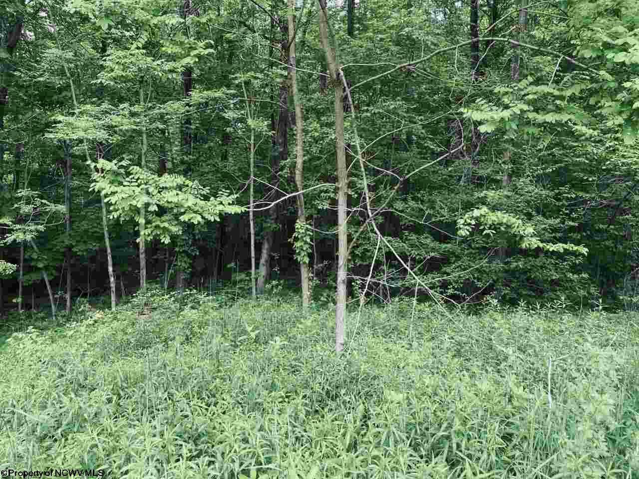 Lot 7 Dennis Road - Photo 1
