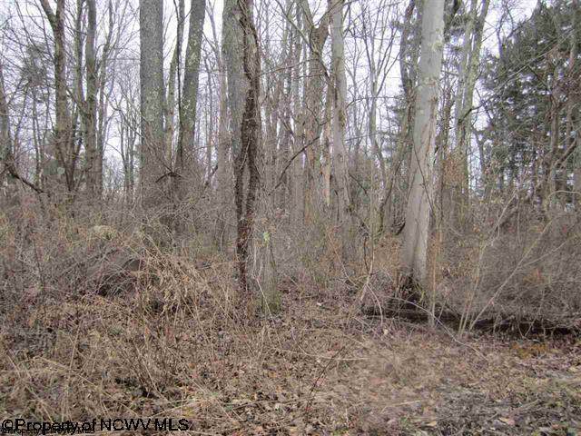 0 Lubbuck Lane - Photo 1