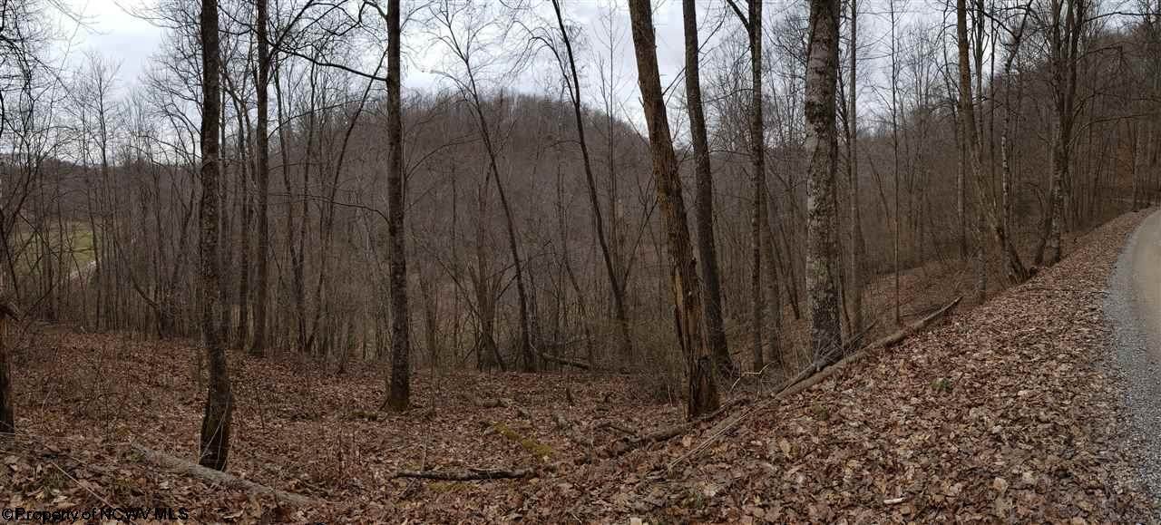 0 Glady Creek Road - Photo 1
