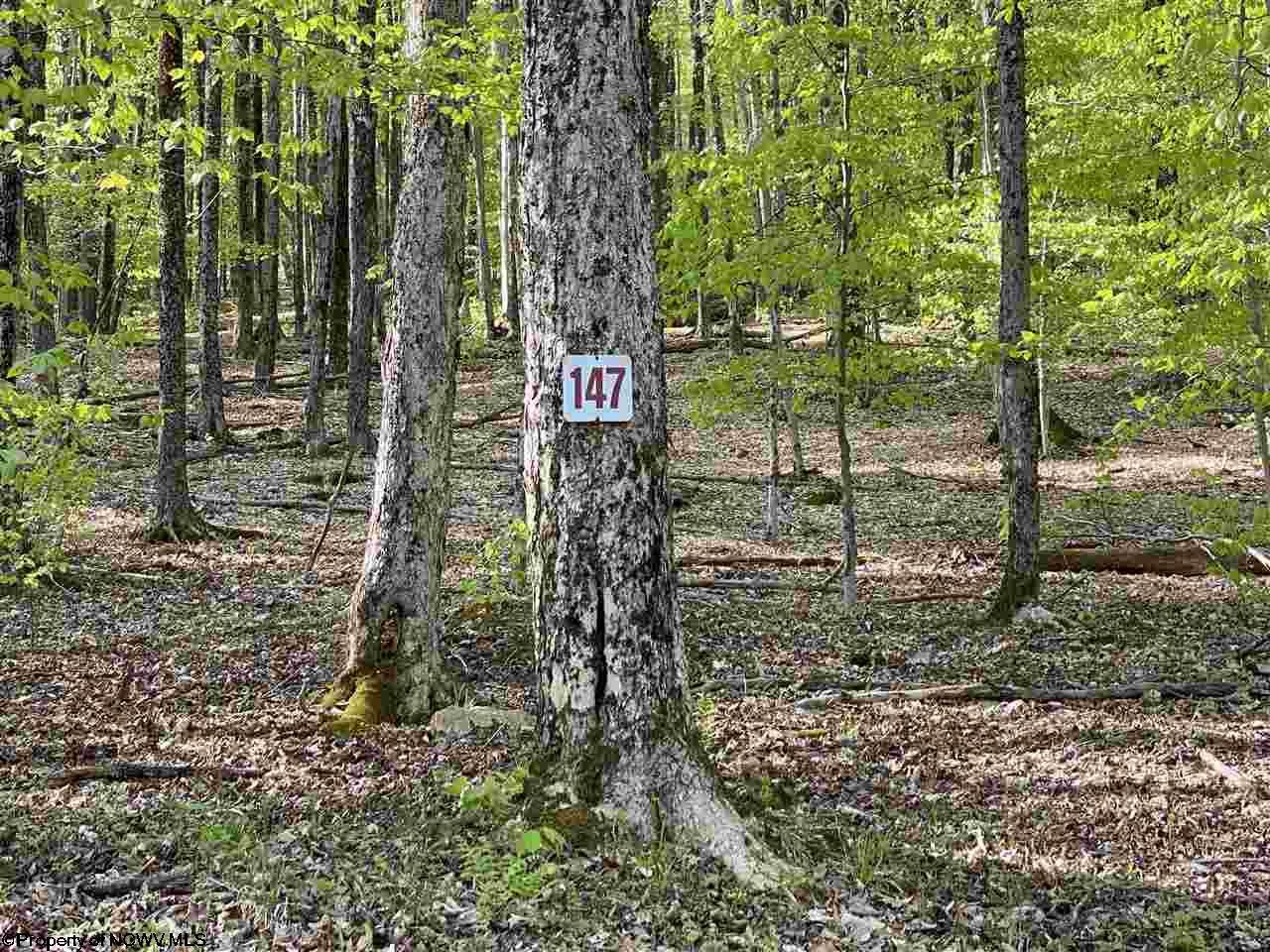 Lot 147 Cabin Mountain Road - Photo 1