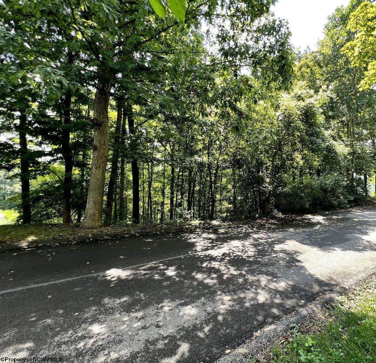 LOT 21 Southpoint Circle - Photo 1