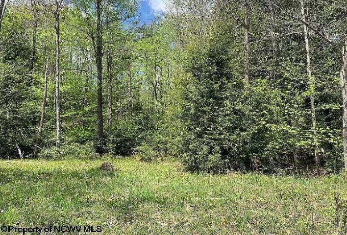 Lot 307 Tuscan Ridge Pisa Place - Photo 1