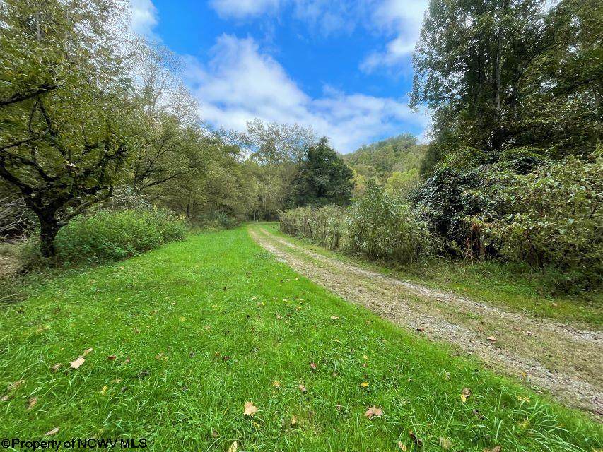 3928 Laurel Run Road - Photo 1