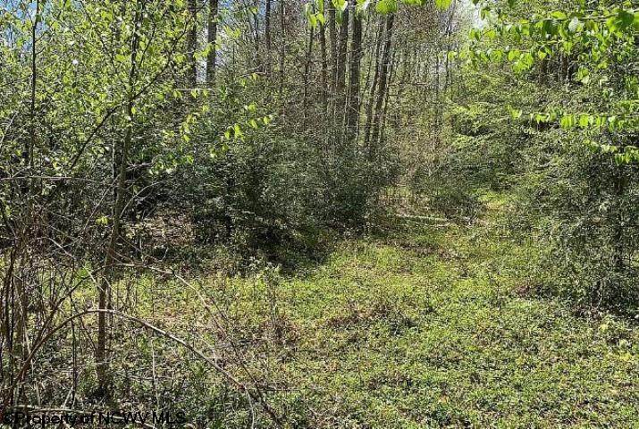 Lot 311 Tuscan Ridge Pisa Place - Photo 1