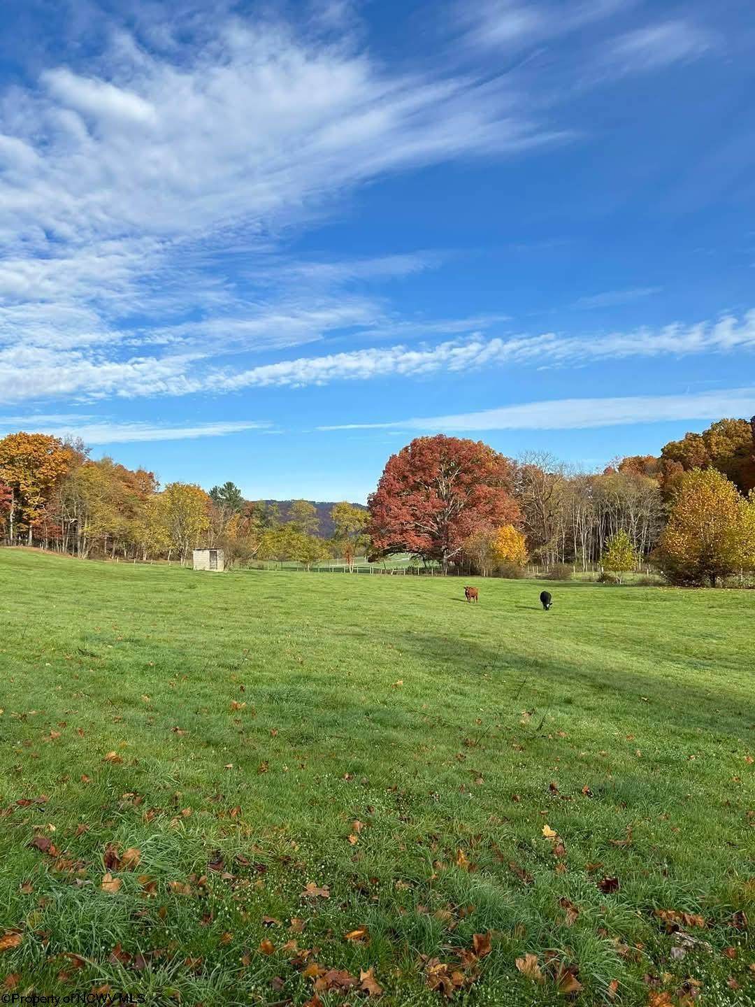 65 Friel Hill Road - Photo 1