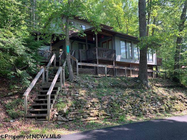 2007 Buckhannon River Road - Photo 1