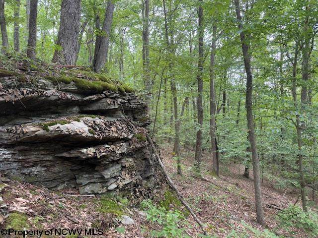 TBD Simpson Road - Photo 1