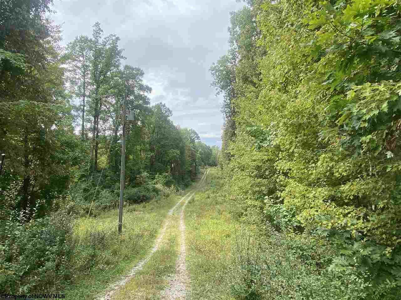 TBD Helens Run Road - Photo 1