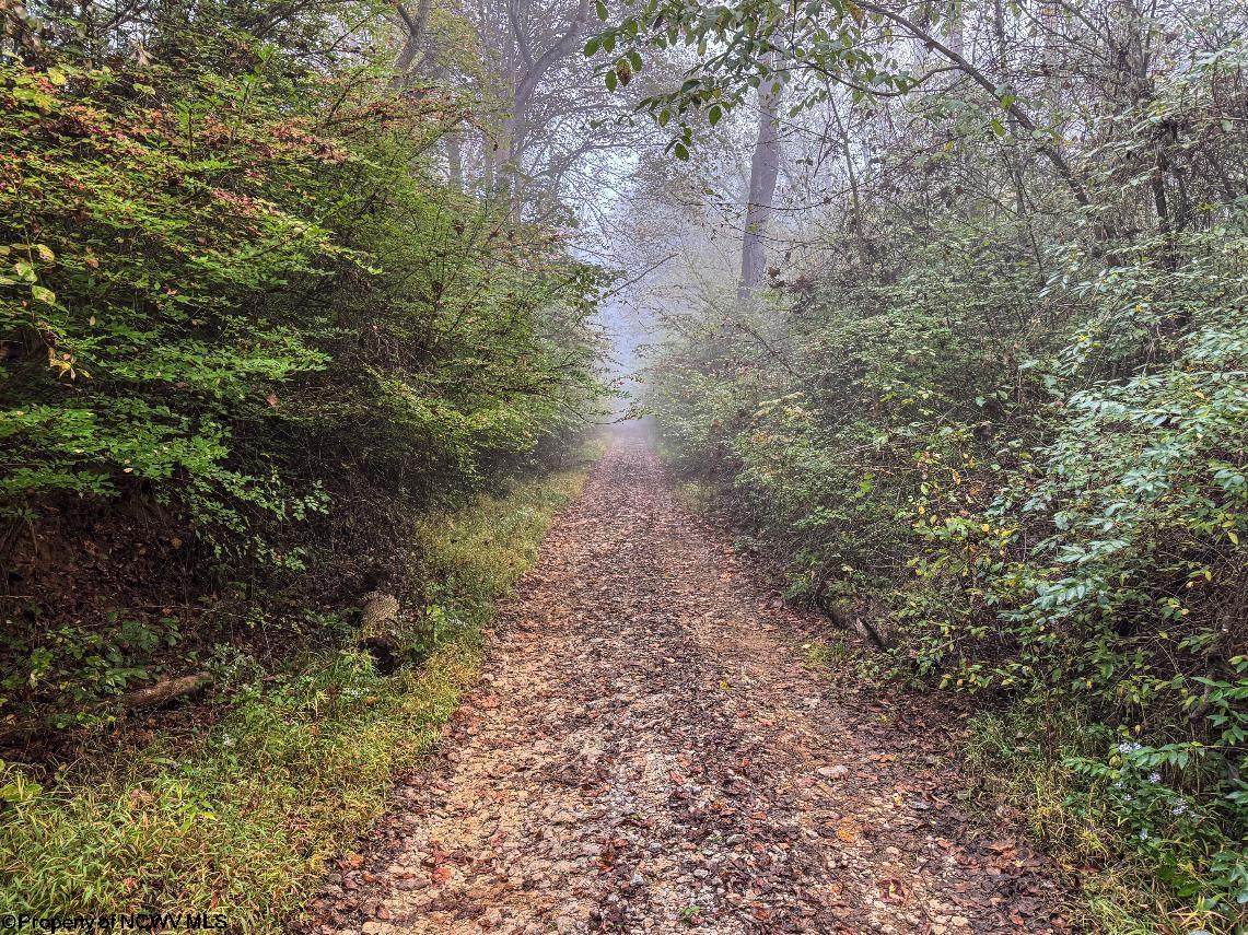 TBD Pickhandle Hill Road - Photo 1