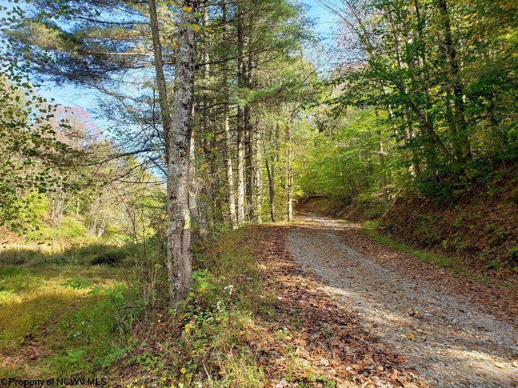 100 Steve Rosier Road - Photo 1