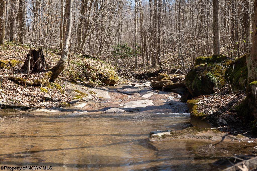 Lot 1 Fairfax Mine Road - Photo 1