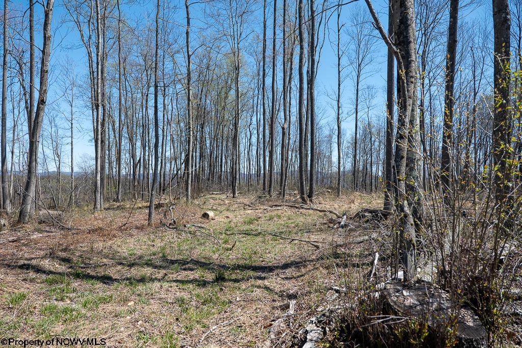 Lot 1 Preston Highway - Photo 1
