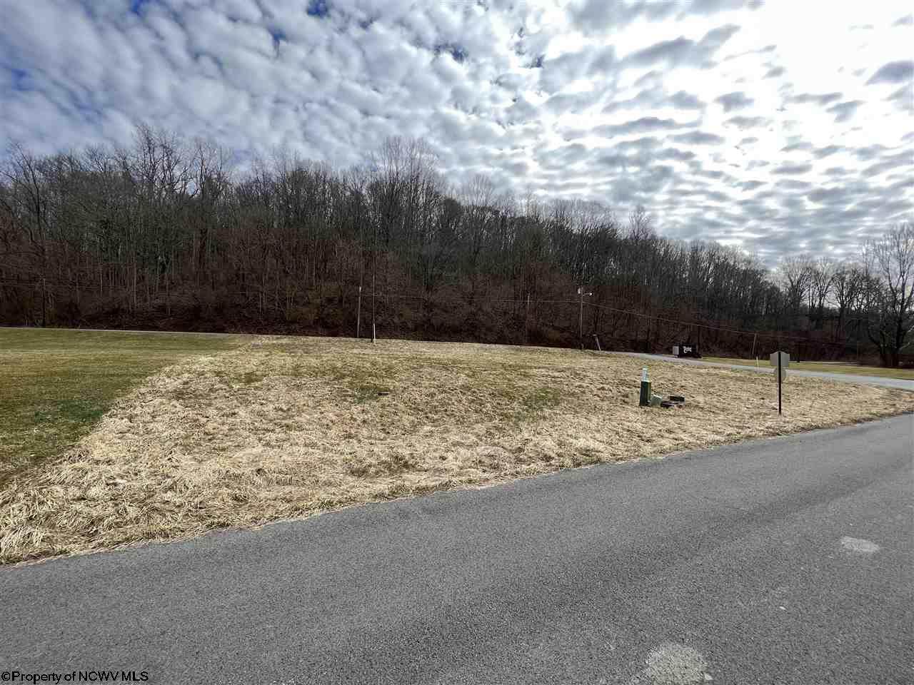 1 LOT 3 Tymber Creek Drive - Photo 1