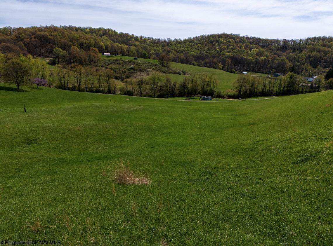 Lot 3 Lynch Road - Photo 1