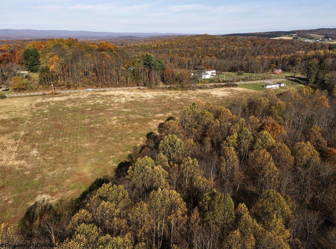 TBD Preston Highway - Photo 1