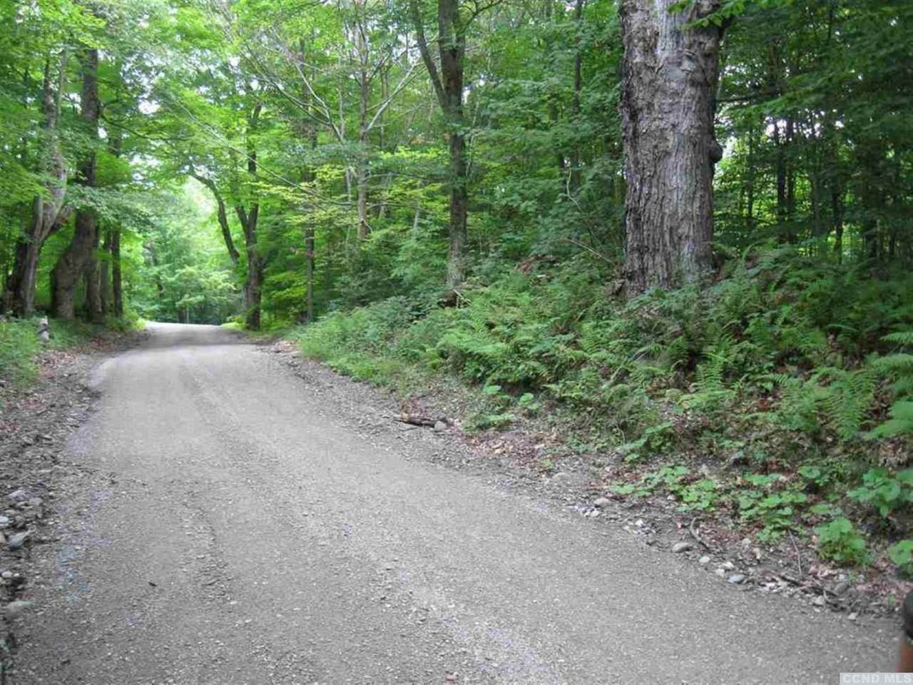 0 367 Black River Rd - Photo 1