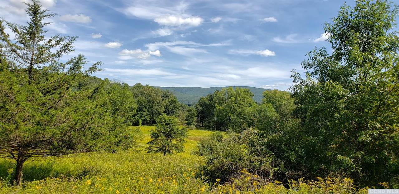 0 Roeliff Meadow - Photo 1