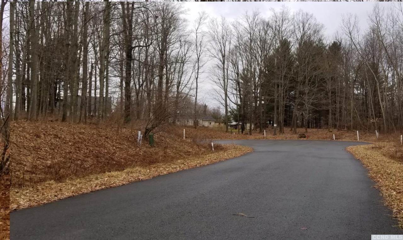 61 Chestnut Court - Photo 1