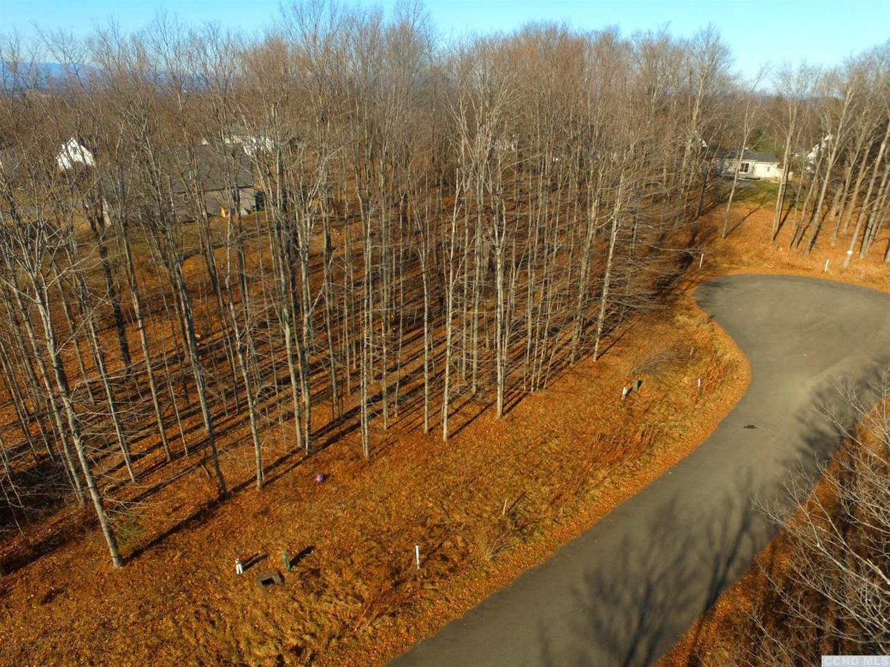 59 Chestnut Court - Photo 1