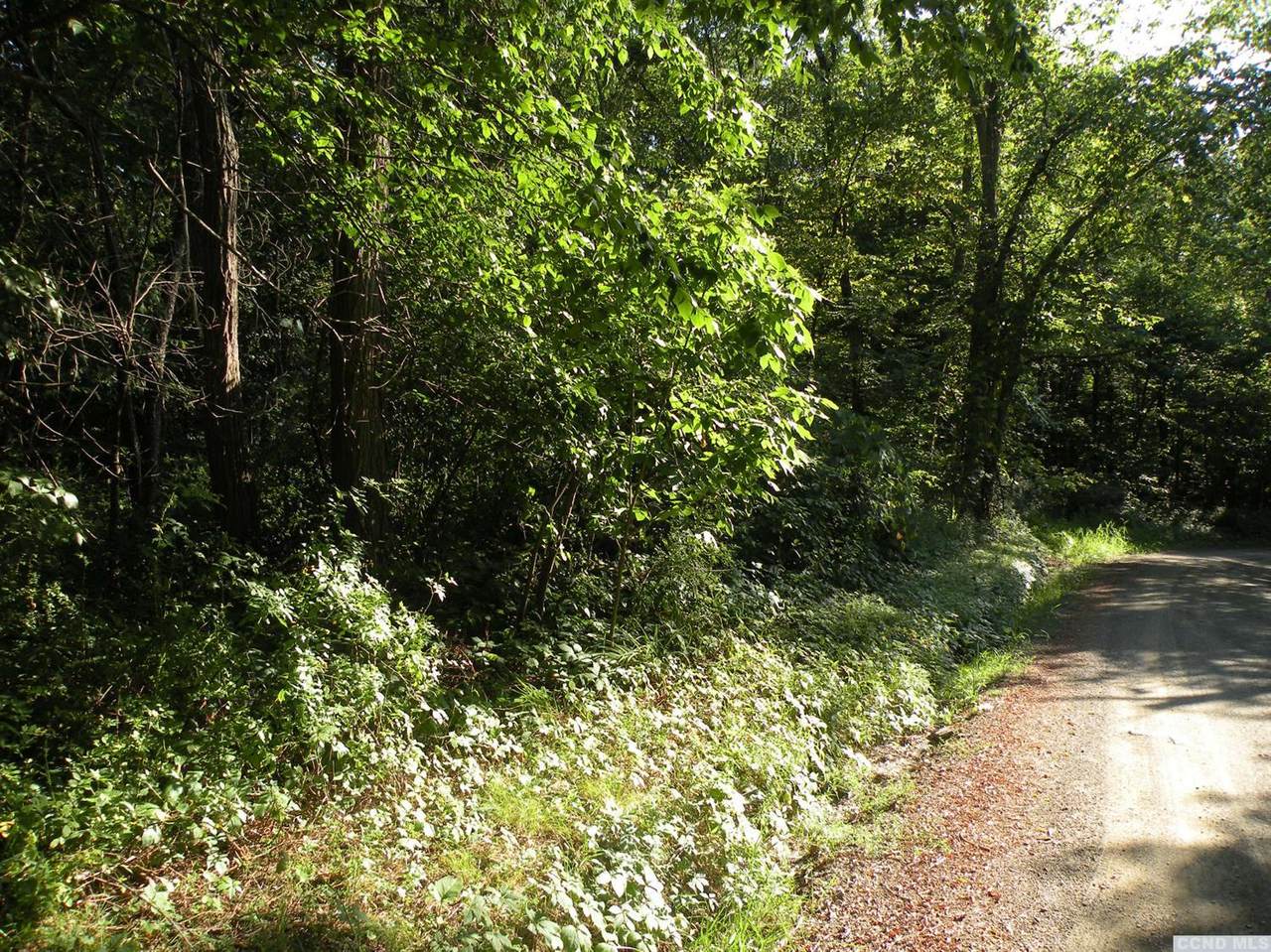0 Notzel Road - Photo 1