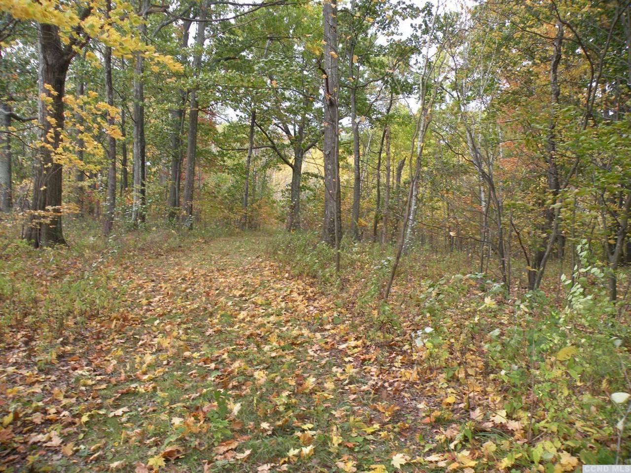 0 Under Mountain Road - Photo 1