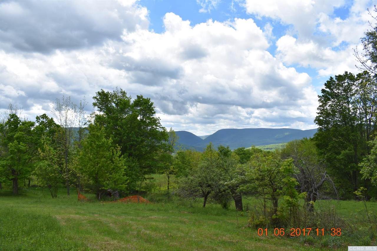 0 Reginal Cross Road - Photo 1