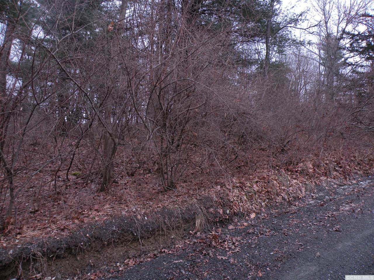 0 Richard Hill Road - Photo 1