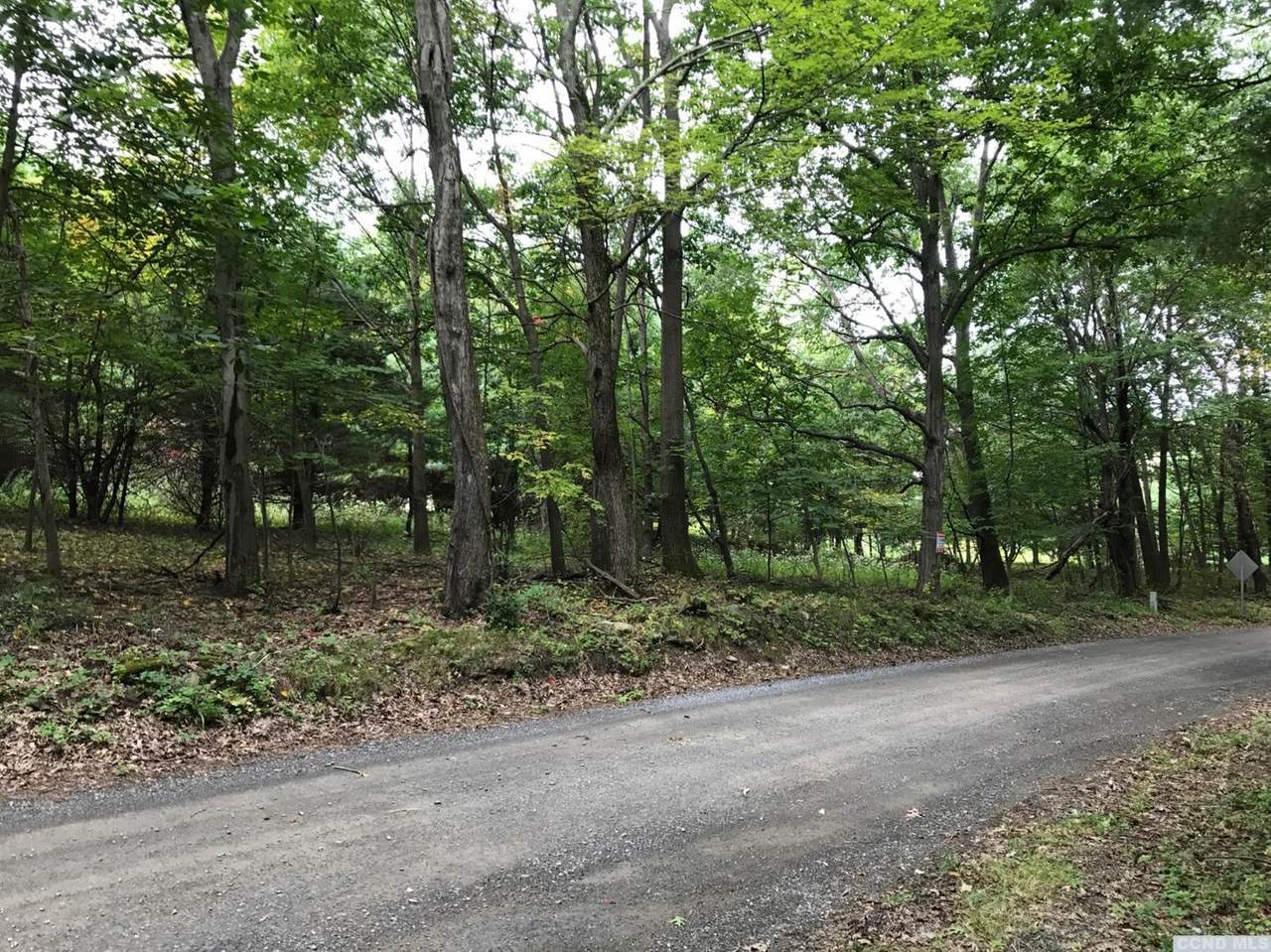0 Mason Road - Photo 1