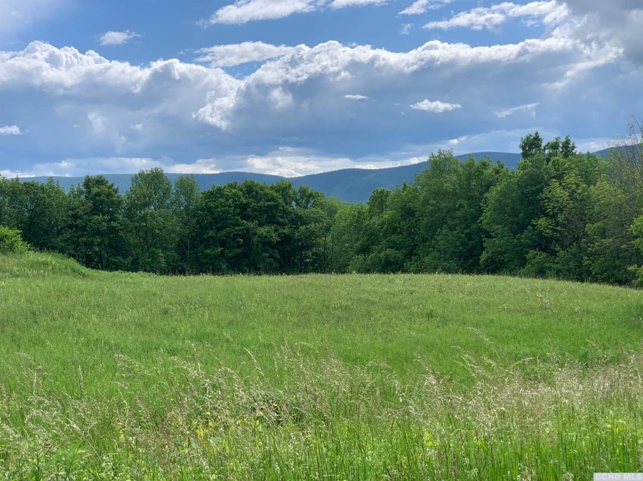6181 County Route 23 C - Photo 1