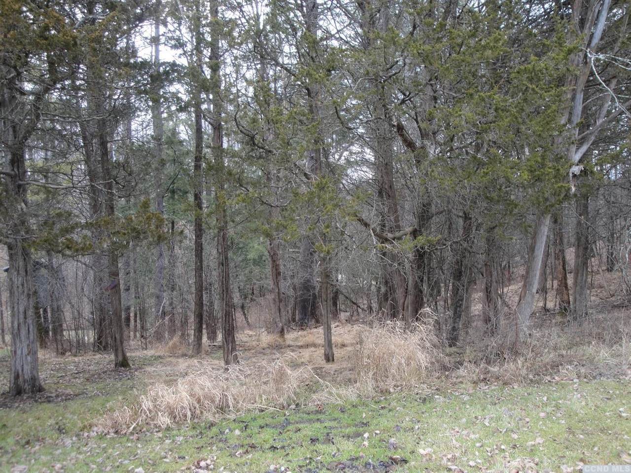 423 School Hill Rd. - Photo 1