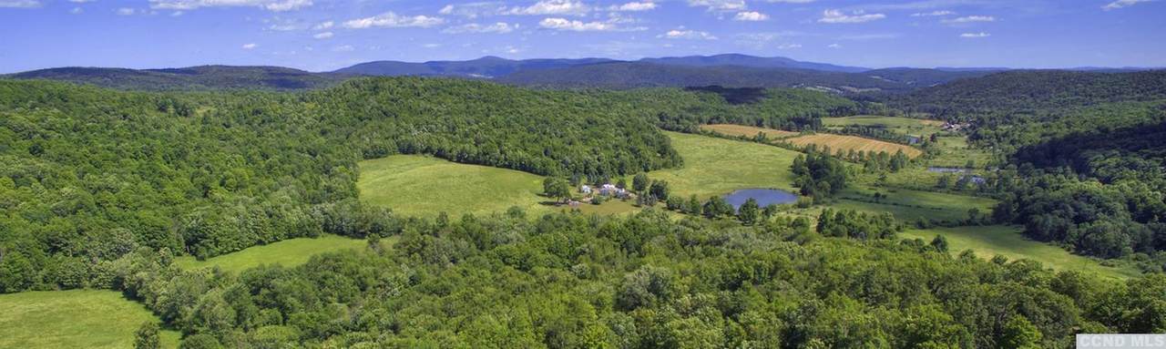 0 Taconic Creek Road - Photo 1