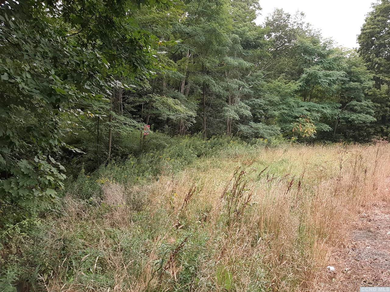 0 Route 145 - Photo 1