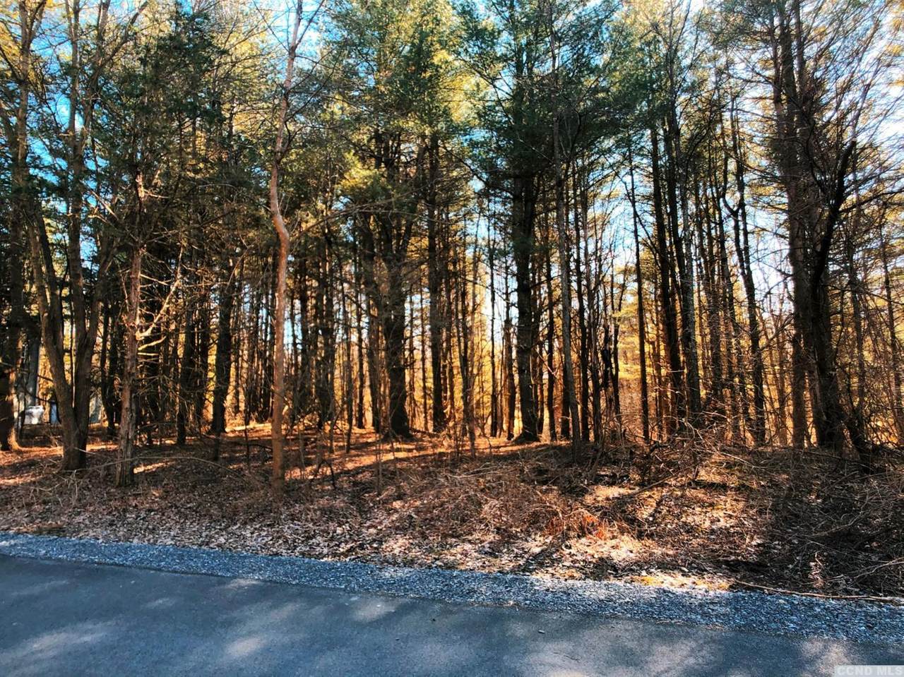 168 Johns Jog - Photo 1