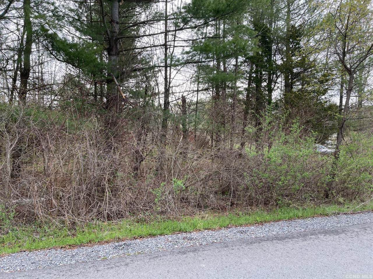 31 Appalachian Drive - Photo 1
