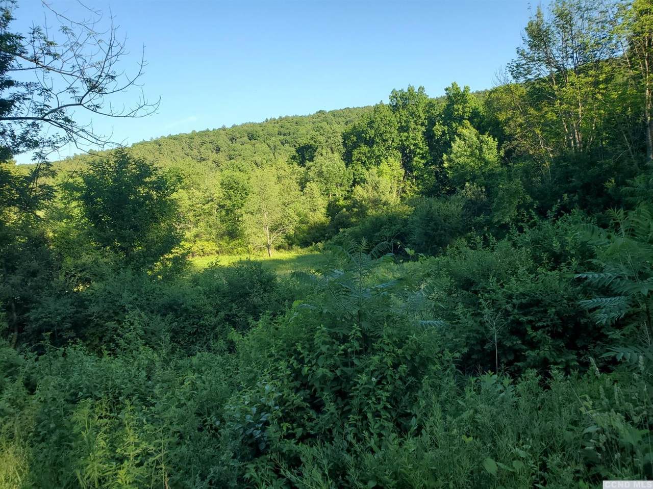 0 County Route 9 - Photo 1