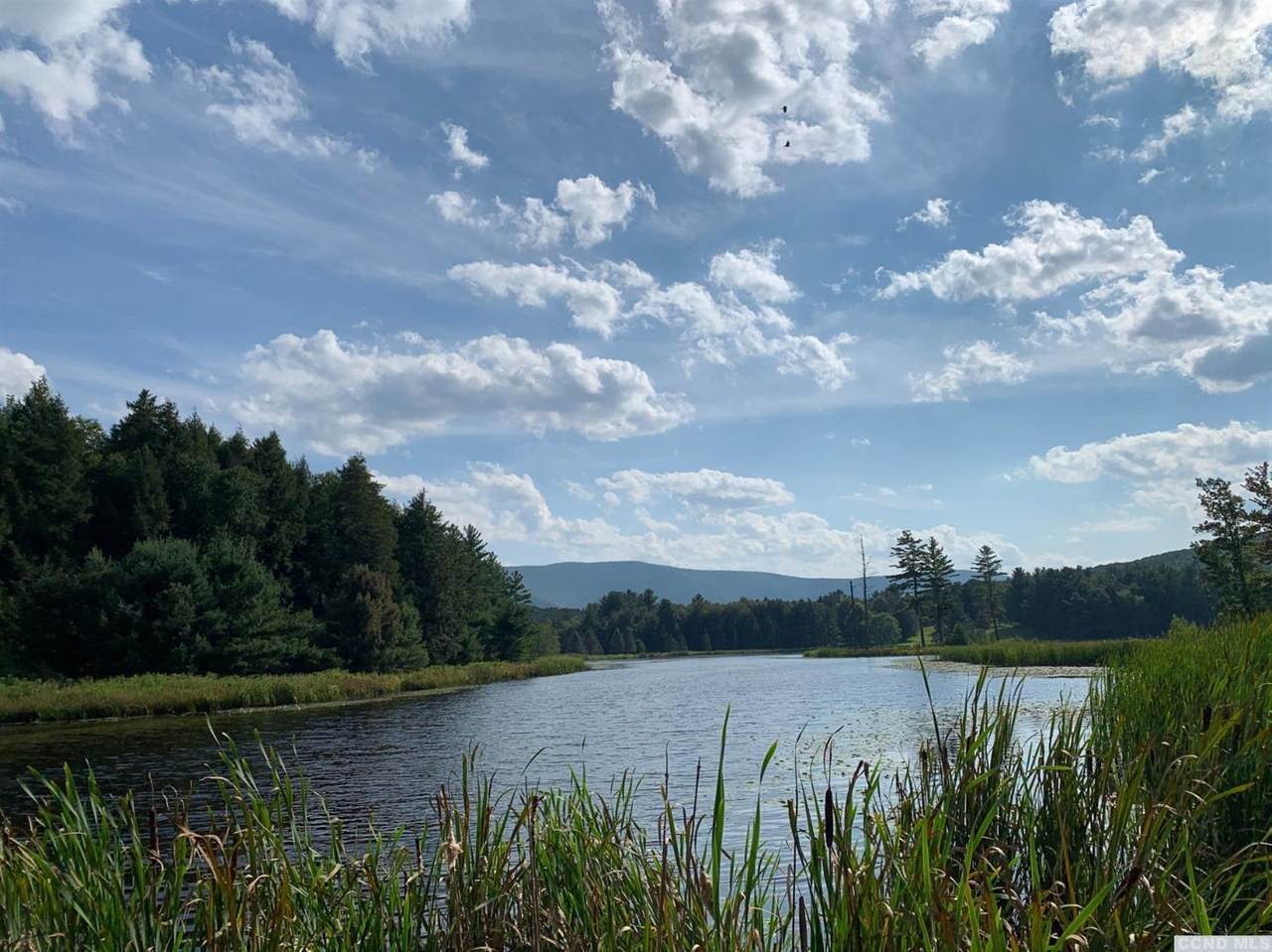 0 Route 23C & Natty Bumpos Lake - Photo 1