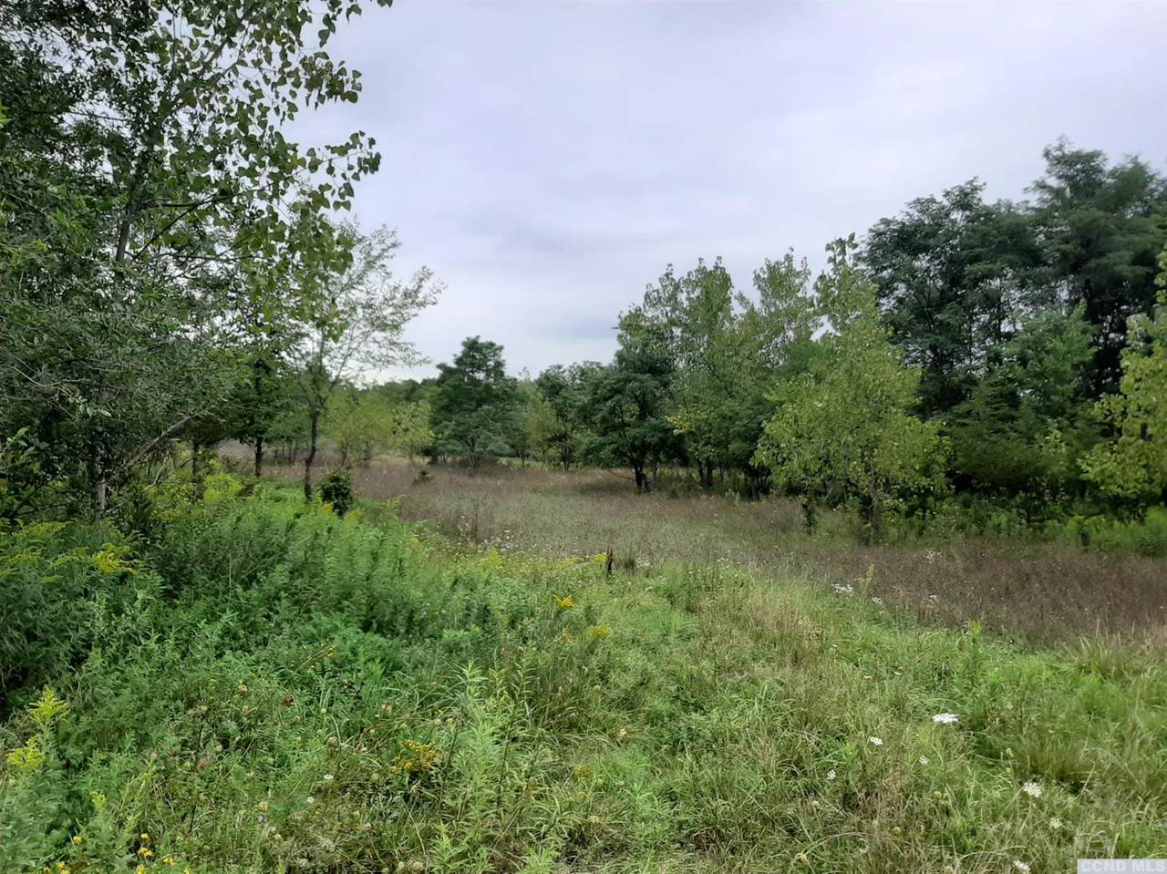 0 Vernal Butler Road - Photo 1