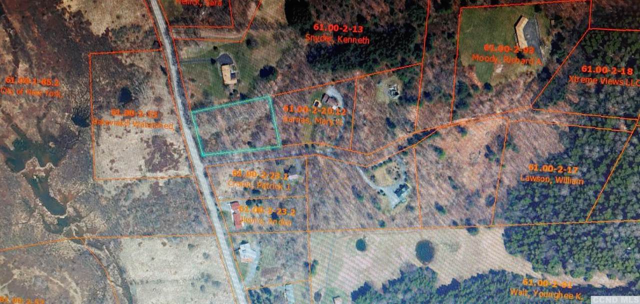 0 Mitchell Hollow Road - Photo 1