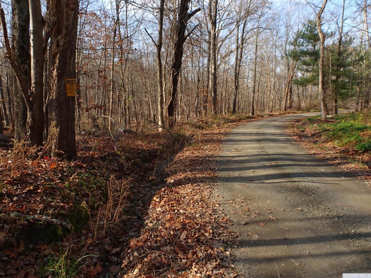 0 Notzel Road - Photo 1
