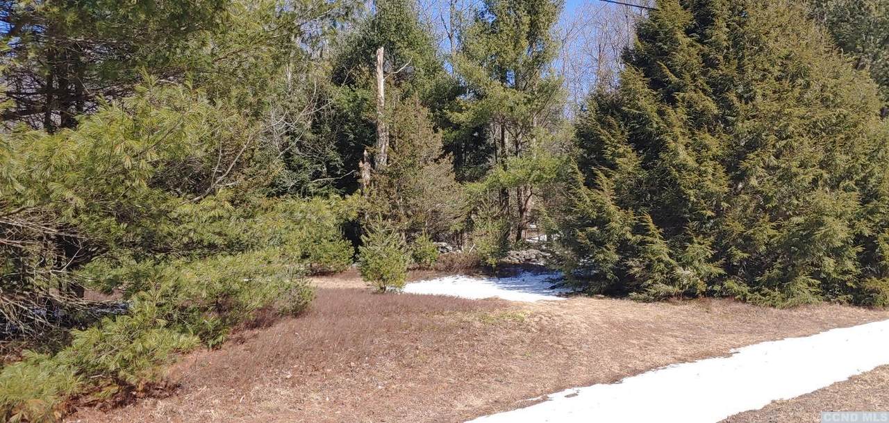 0 Deer Run Road - Photo 1