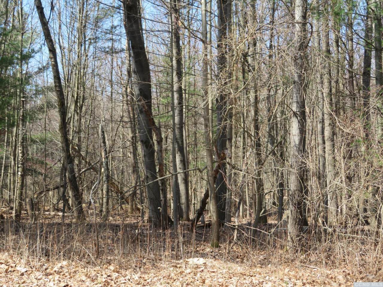 0 Highland Road - Photo 1