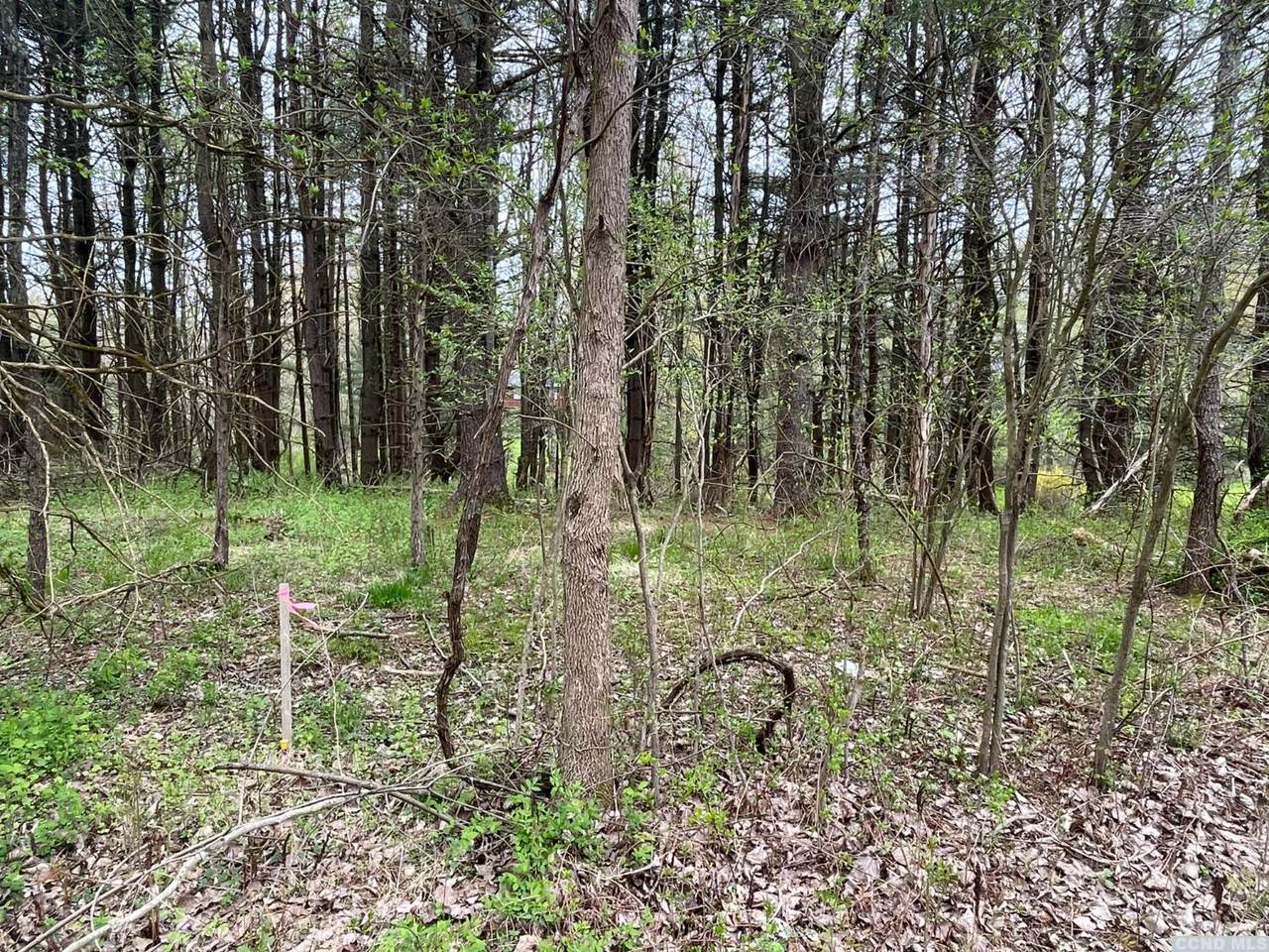 168 Johns Jog - Photo 1