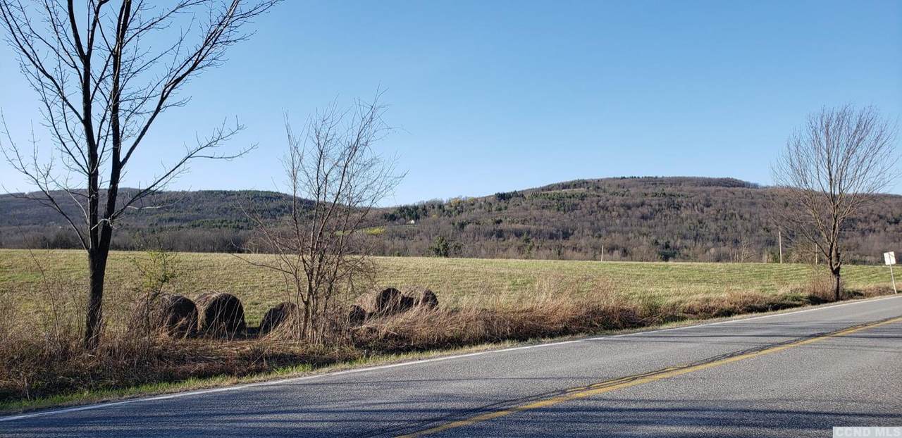 0 Potter Hollow Mountain Road - Photo 1