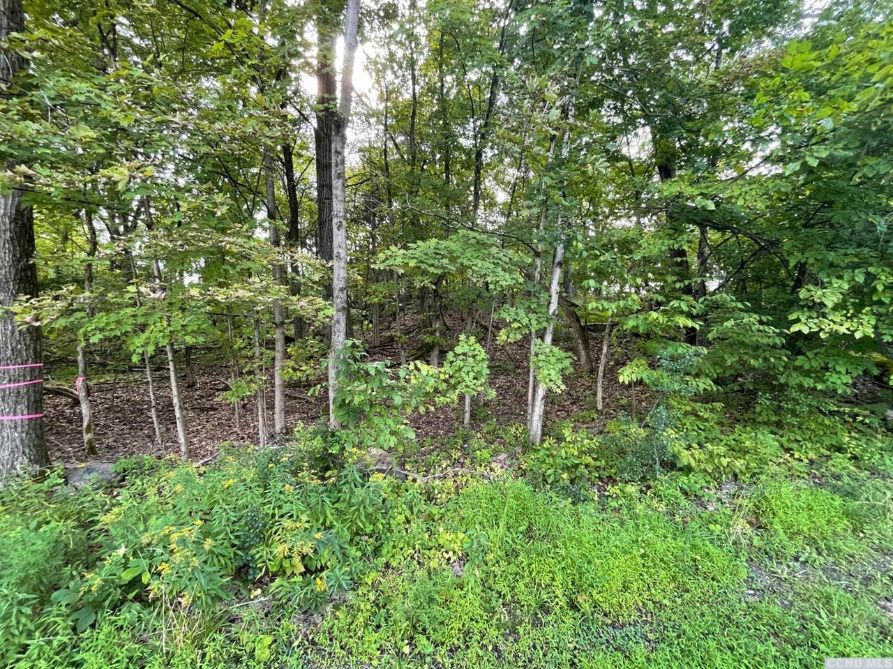 1970 Sleepy Hollow Road - Photo 1