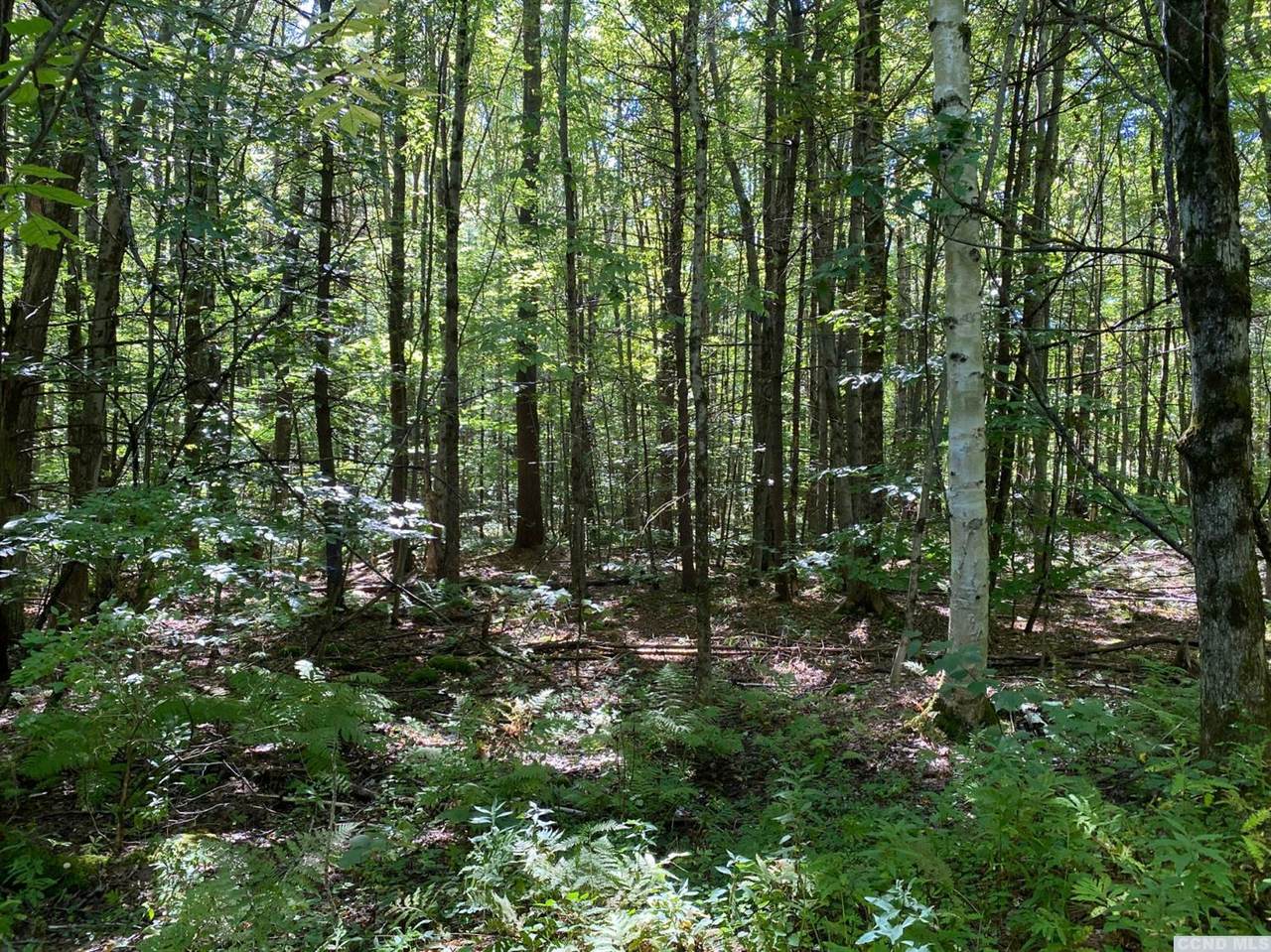 11 West Hill Road - Photo 1