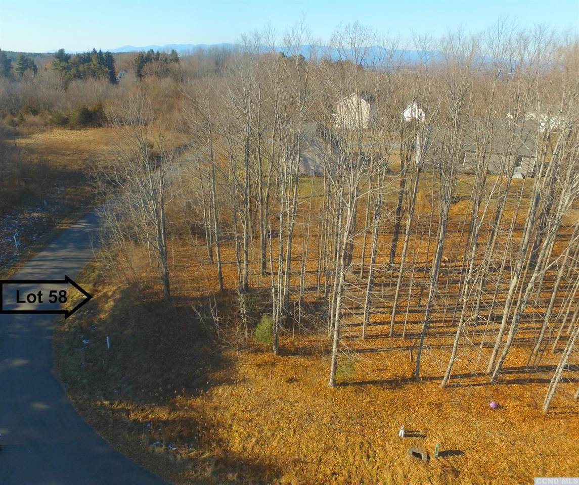 58 Chestnut Court - Photo 1