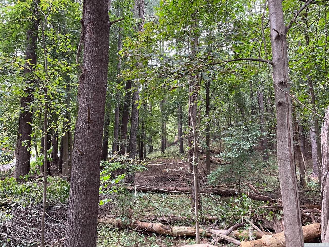 0 Pine Tree Road - Photo 1