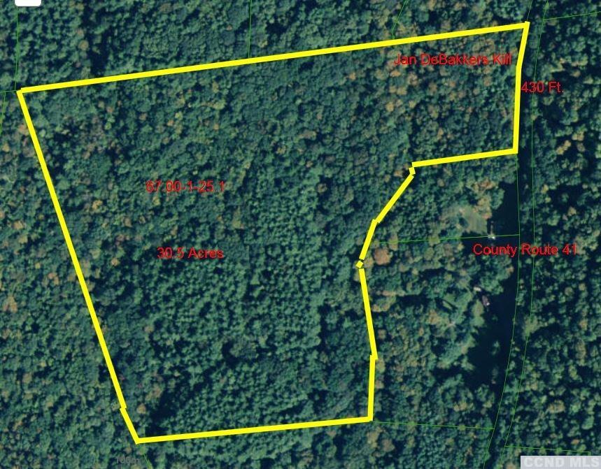 0 County Route 41 - Photo 1